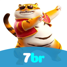 7br visual